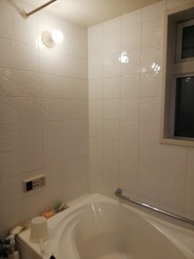 深みのあるグリーンが美しい機能的なユニットバス 深みのあるグリーンが美しい機能的なユニットバス